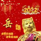 风信子