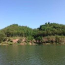 张伦（一汽解放、现代商用）