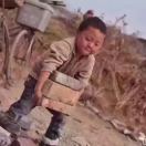 发疯的小强