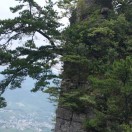 许军海森汽车钢材市场