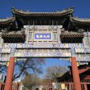 专业货运