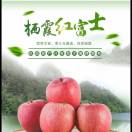 a烟台苹果