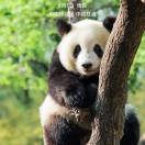 吴法吴天