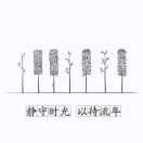 时光