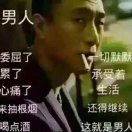 鹤飞青松