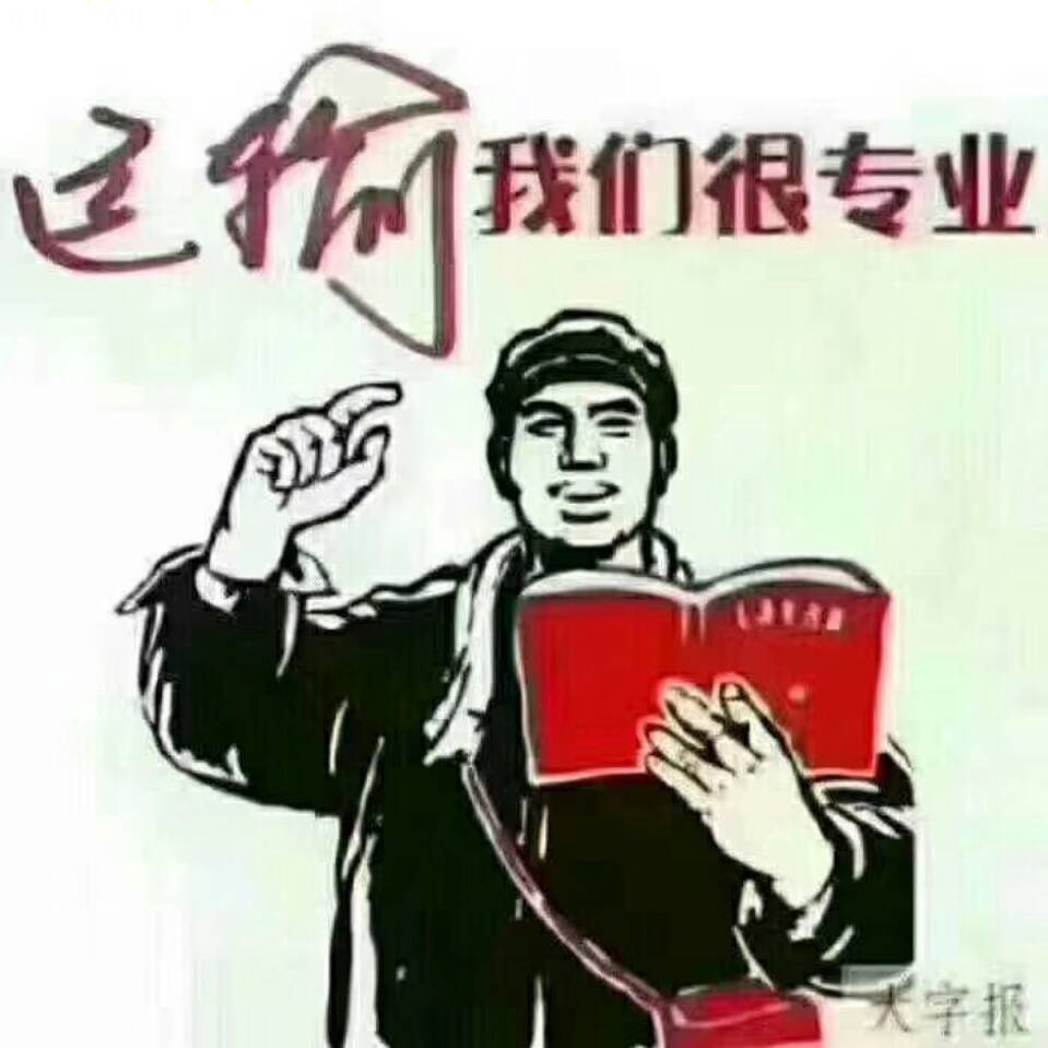 刘琴