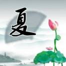 BH8VNM红彤彤
