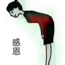 自由的飞