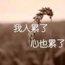 熟悉的陌生人