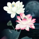 永远