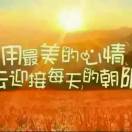 苏欣