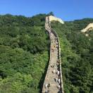 玲玲