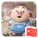 小白