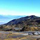 成