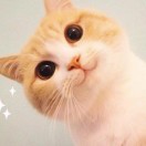 方璞聚婷1234