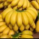 专营水果蔬菜