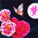 明天会更好