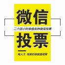 阅读点赞粉丝直播投票评论