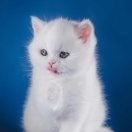 。。
