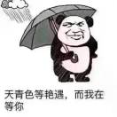 小姐  可否借个吻