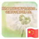 静? 净
