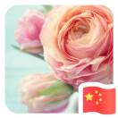 yaoyao