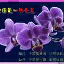 你好