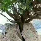 指南针