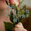 。。。。。