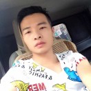 自由菲翔