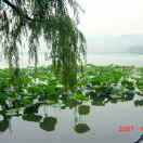 蜀汉运通物流