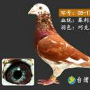 世明人生没有如果~只有后果和结果