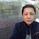 天马行空赵怀忠