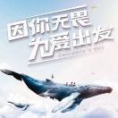 泉州解放卡车陈木水