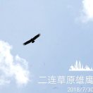 老郑