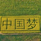 邵冰