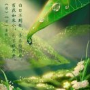 淡然