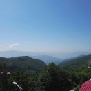 雄鹰在飞翔