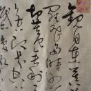 许鹏