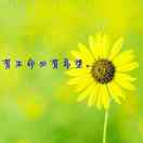 风雨彩虹