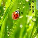 时光冉冉