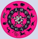 ACAI趙金財