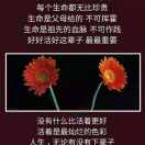 明天会更好