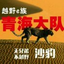 （沙豹）muhanmaidema