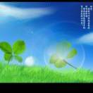 幸运草🍀