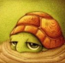 11罗罗可可