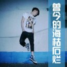华仔