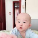冯成法