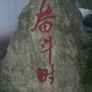 张子奇