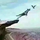 林桂龙